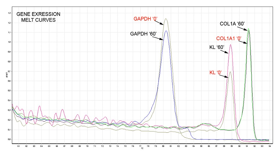 Forbes Article Klotho